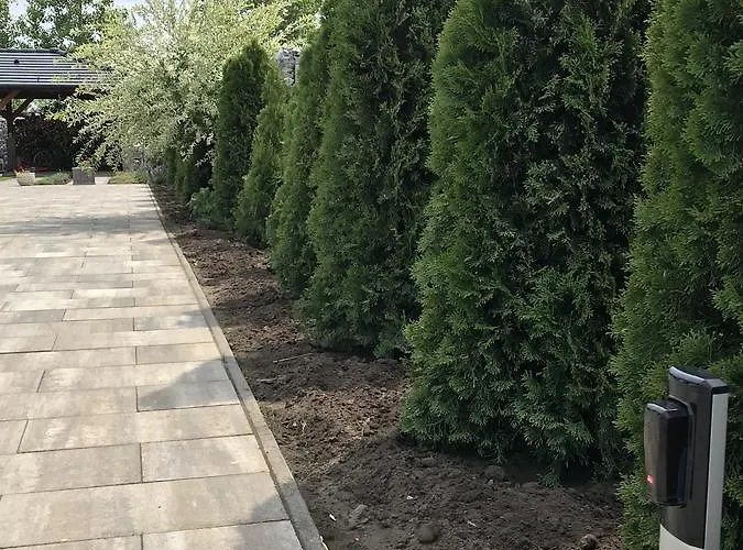 Gyori Vendeghaz Demjén